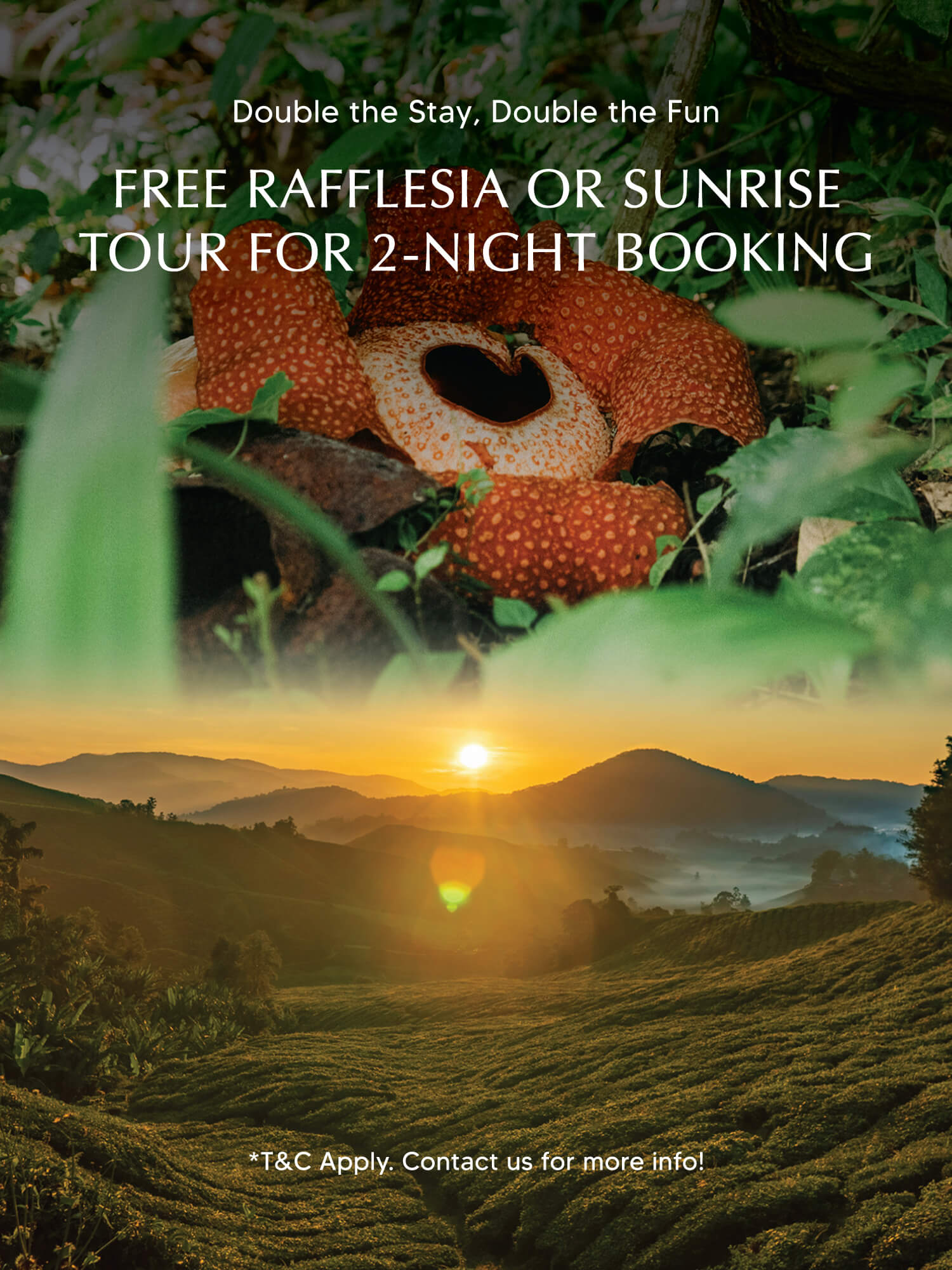 Zen-Website-Pop-Out-Banner