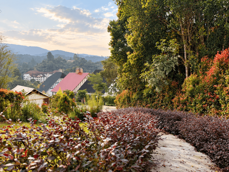 Aman_Golden Garden Path to Mountain Village